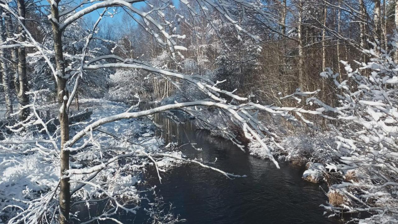 Allemanshem Lenhovda المظهر الخارجي الصورة